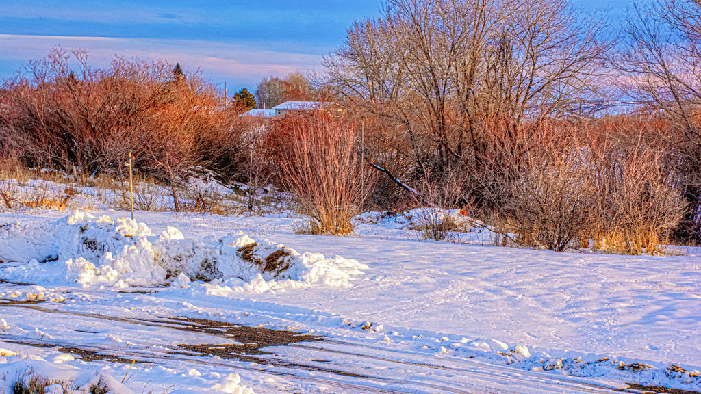 710_0905-HDR-Edit.jpg