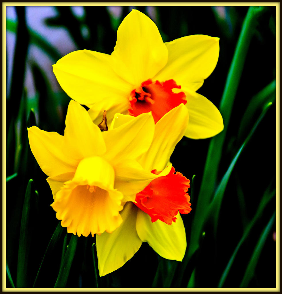 710_0960-Edit.jpg
