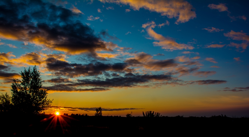710_1248 (1000x549).jpg