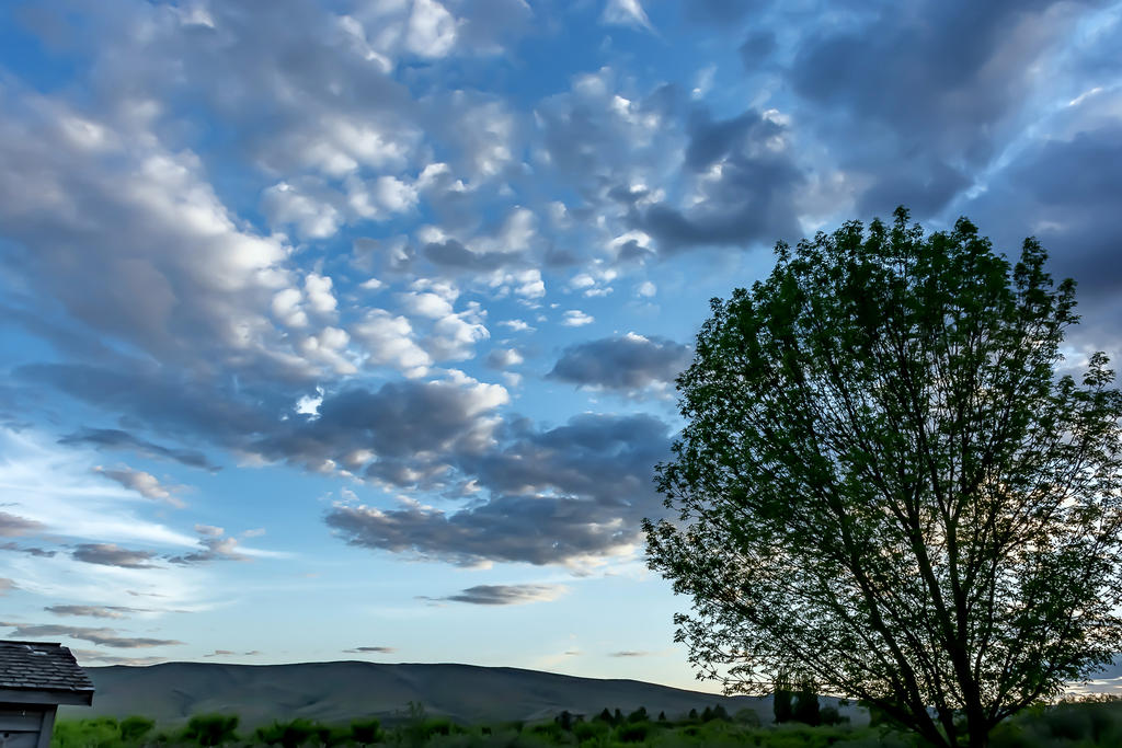 710_1251-HDR.jpg