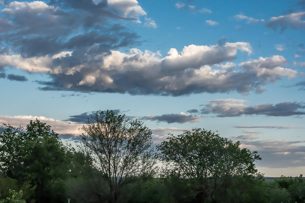 710_1256-HDR.jpg