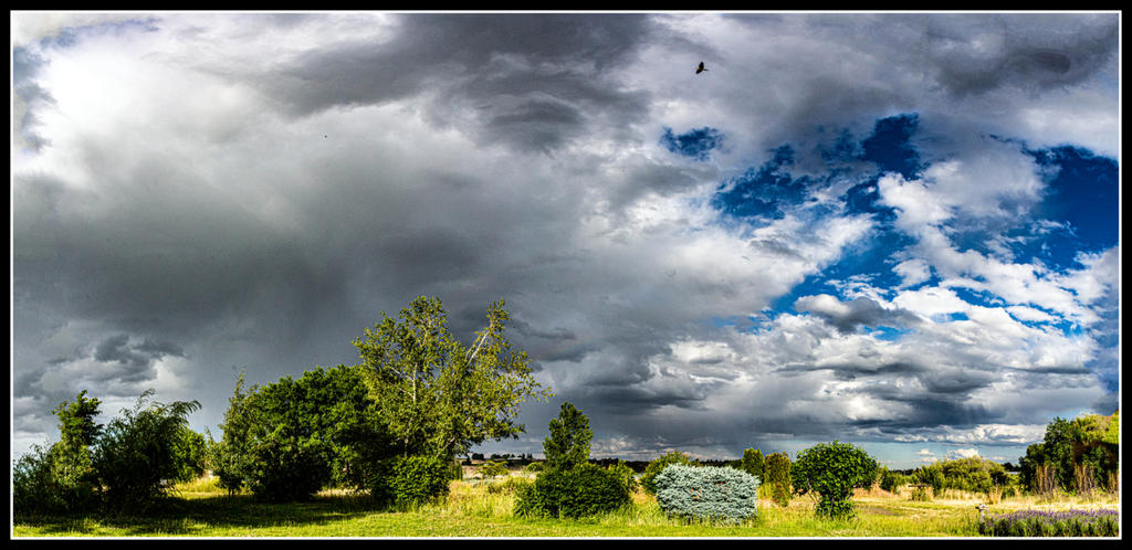 710_1273-Pano.jpg