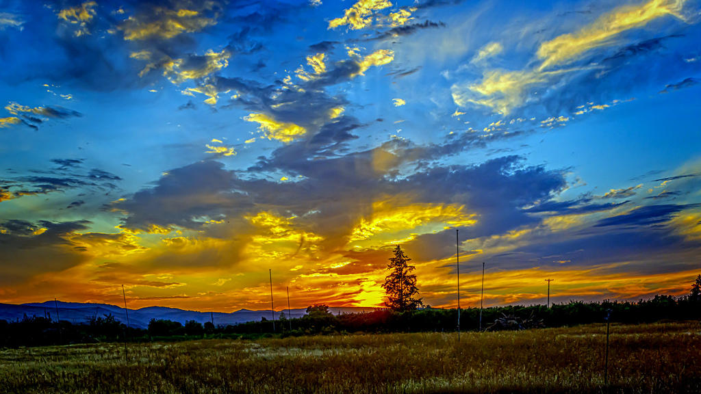 710_1402-Pano-Edit.jpg