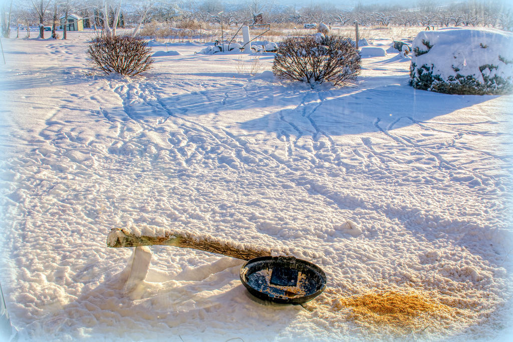 710_1426-HDR-Edit.jpg