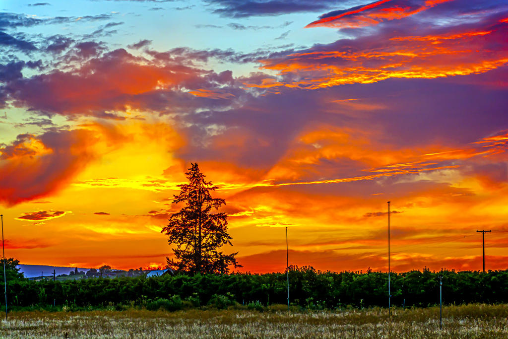 710_1442-Edit.jpg