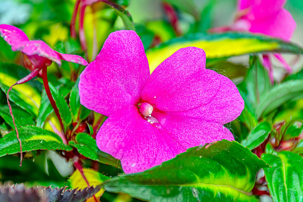 710_1623-Enhanced.jpg