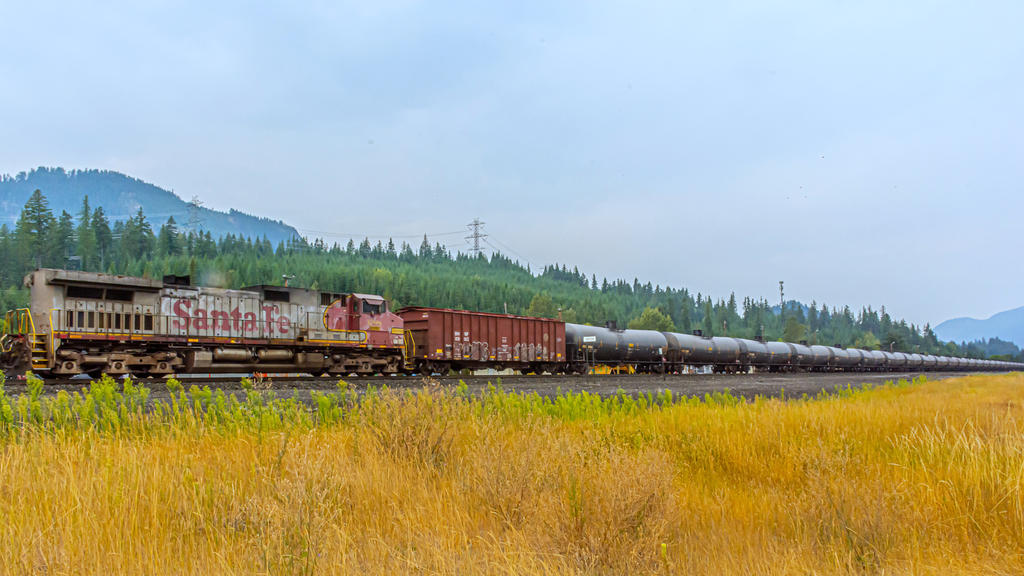 710_1774.jpg