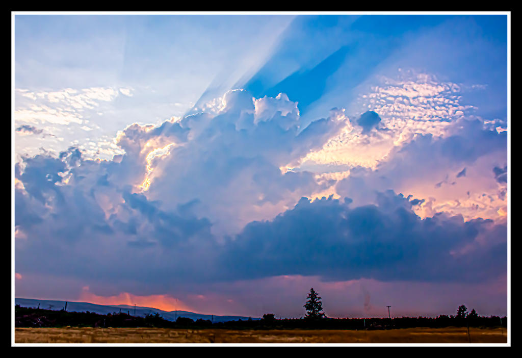 710_1796-Edit.jpg