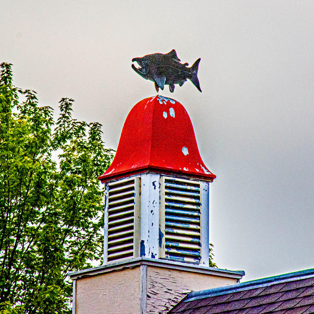 710_2039-Edit.jpg
