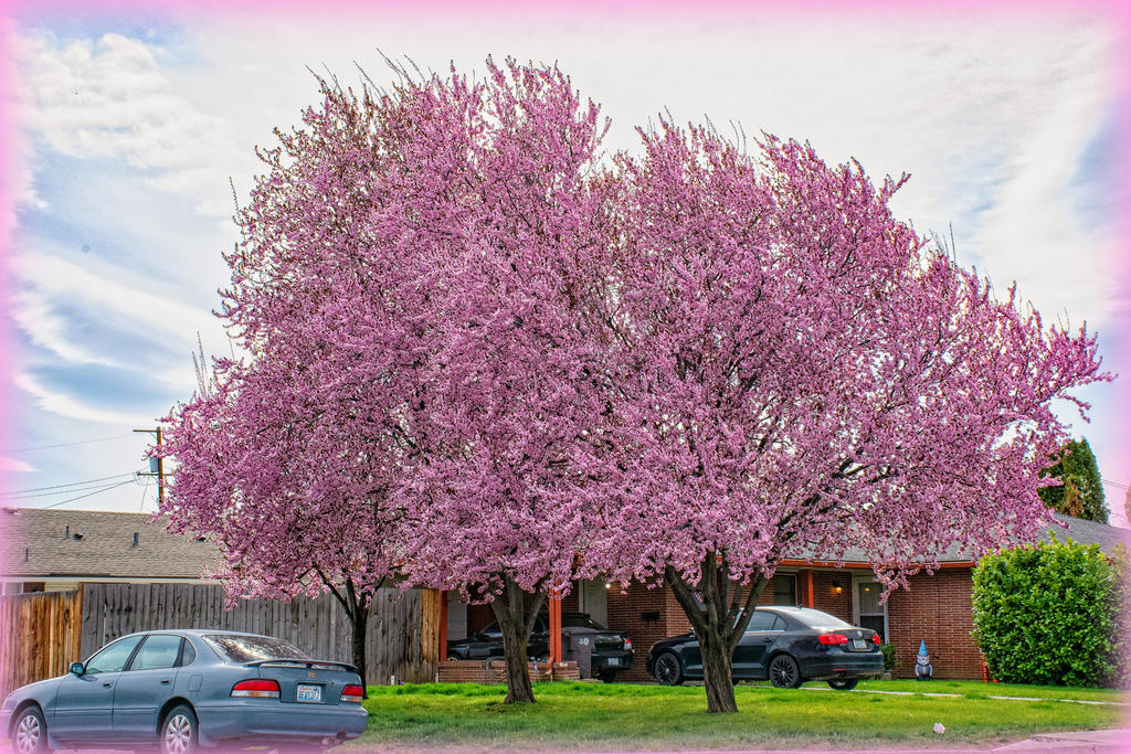 710_2395-Edit.jpg
