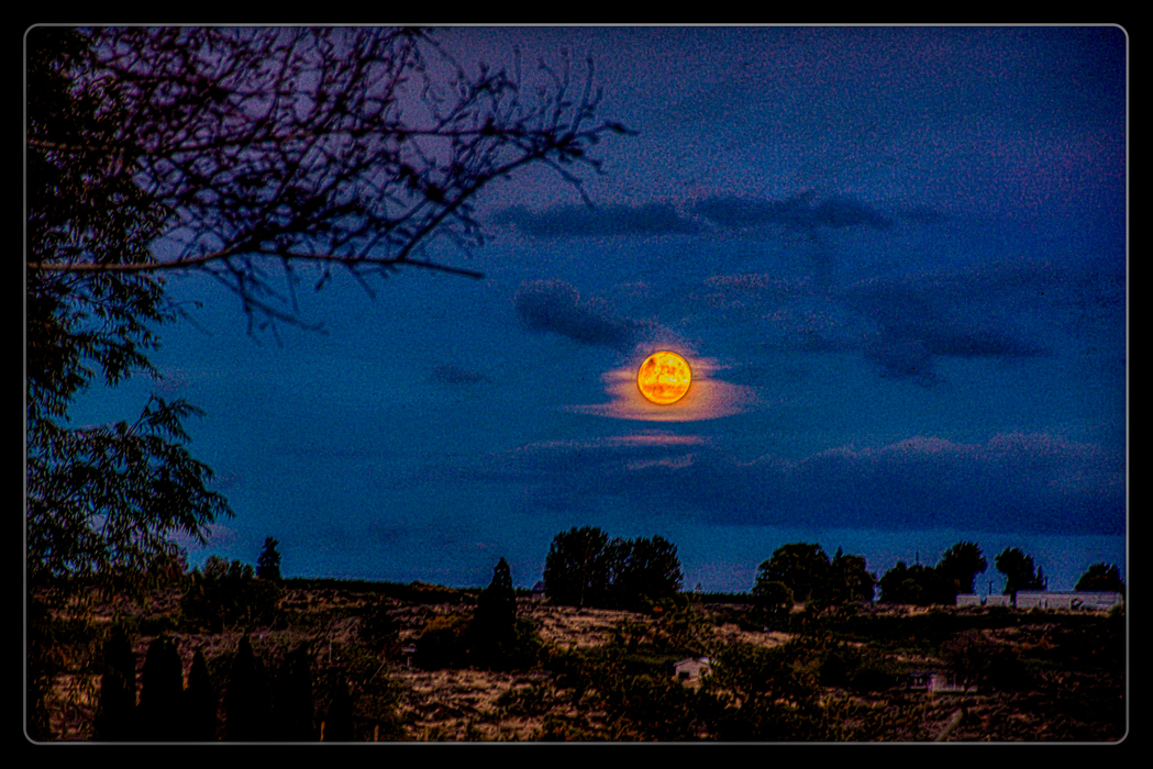 710_2623-Enhanced-Edit.JPG