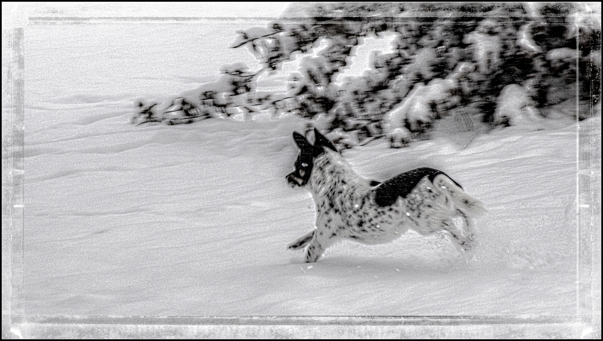 710_2832-Enhanced-Edit.JPG