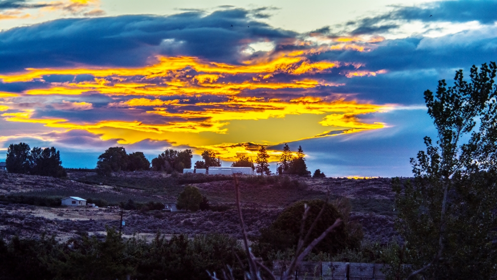 710_2945 (1000x563).jpg
