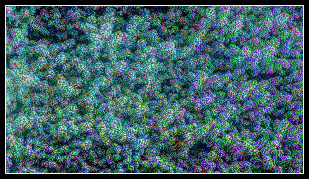 710_2978-Enhanced-Edit.JPG
