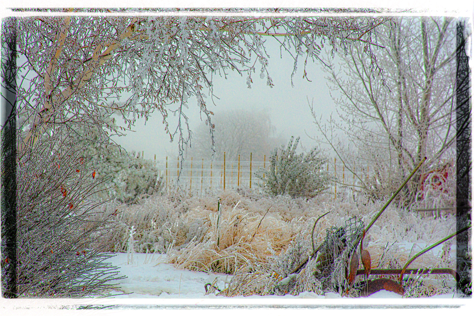 710_2987-Enhanced-Edit.jpg