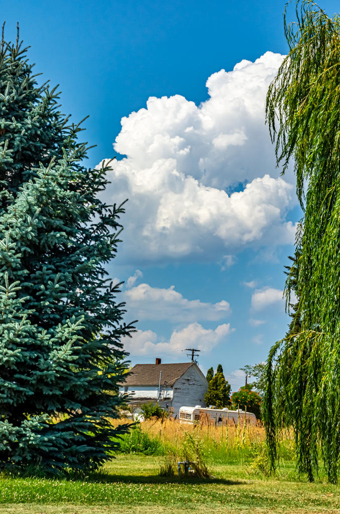 710_3153-HDR.jpg