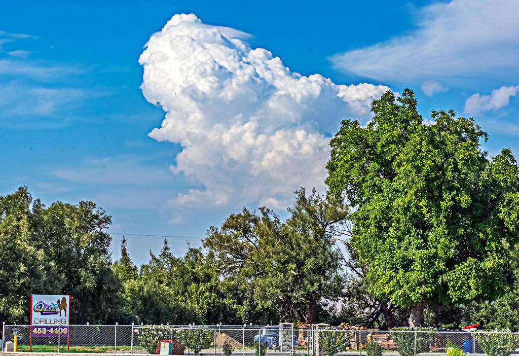710_3162-HDR-Edit.jpg