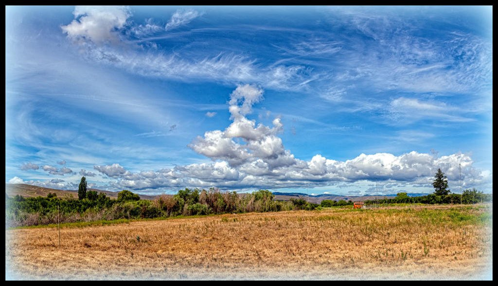 710_3194-HDR-Pano-Edit.jpg