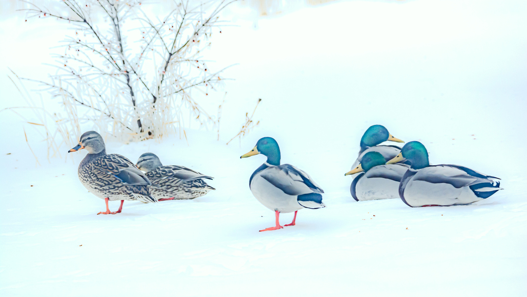 710_3210.JPG