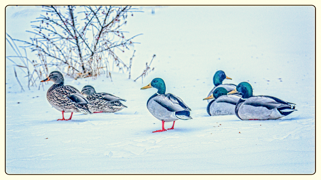 710_3212-Enhanced-Edit.JPG