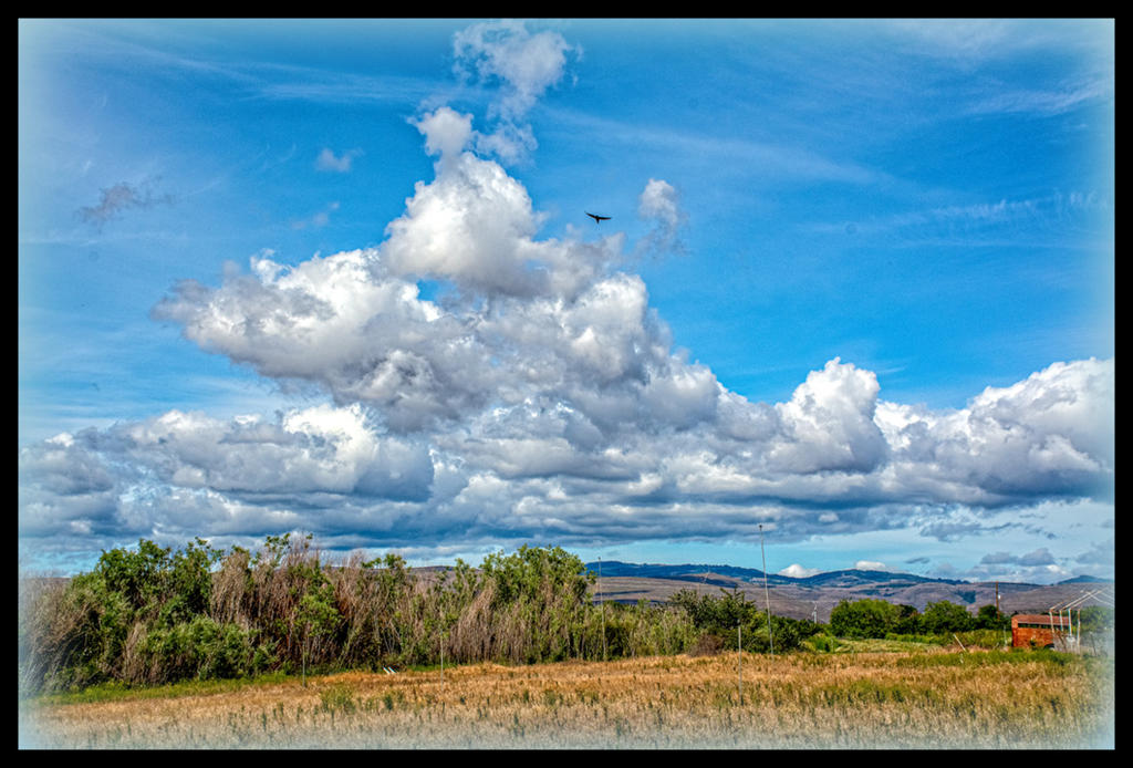 710_3224-HDR-Edit.jpg
