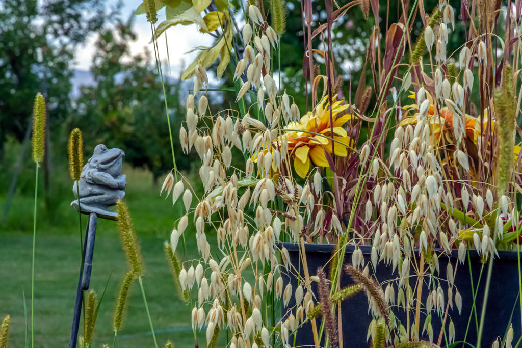 710_3250-HDR.jpg
