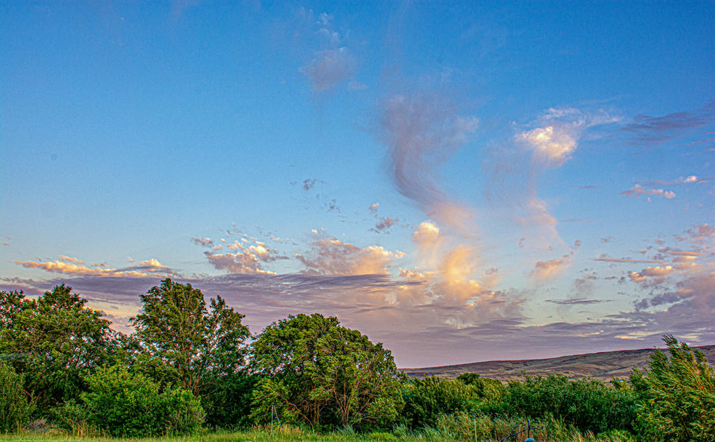 710_3318-Edit.jpg