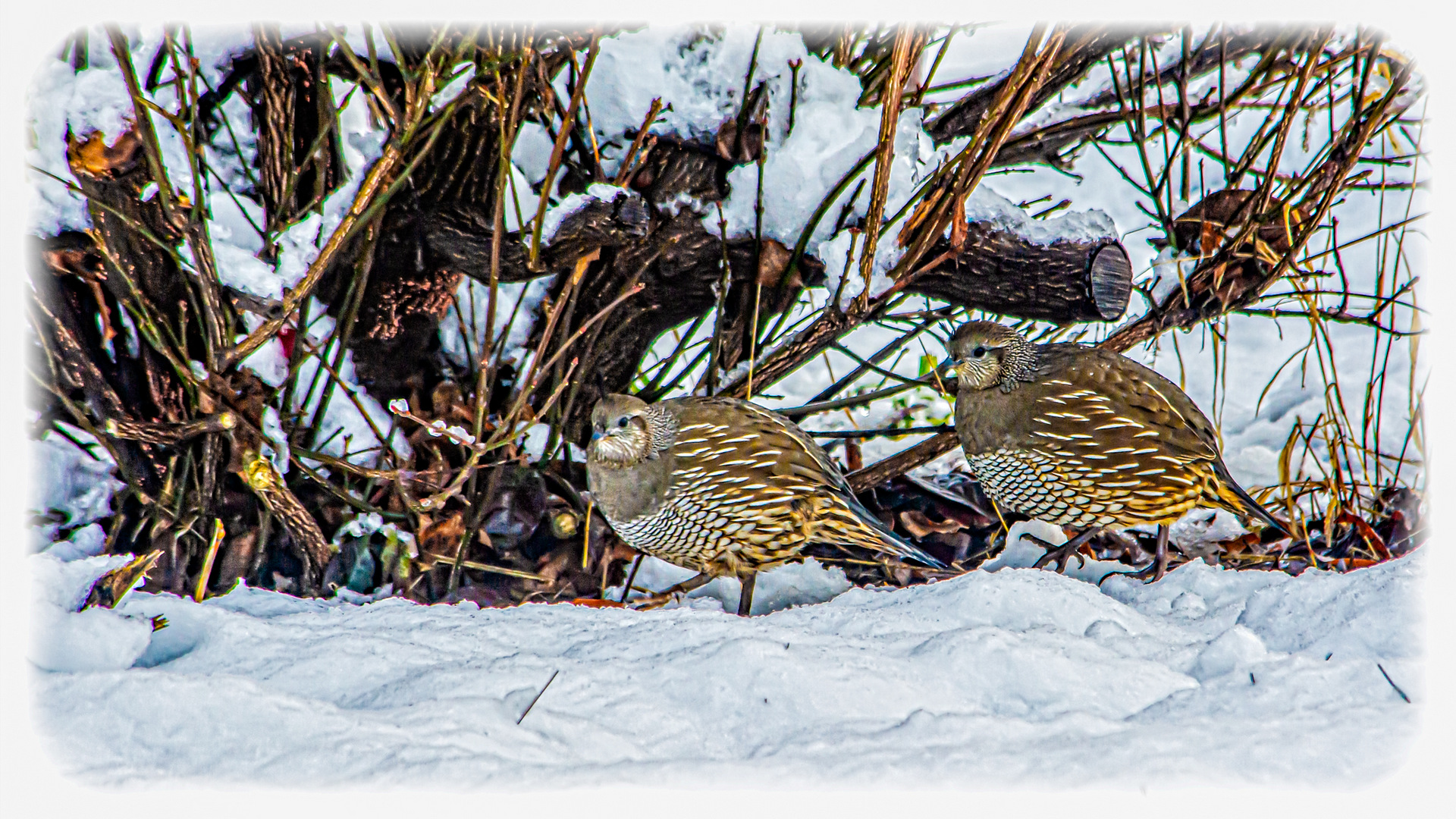 710_4116-Edit.jpg