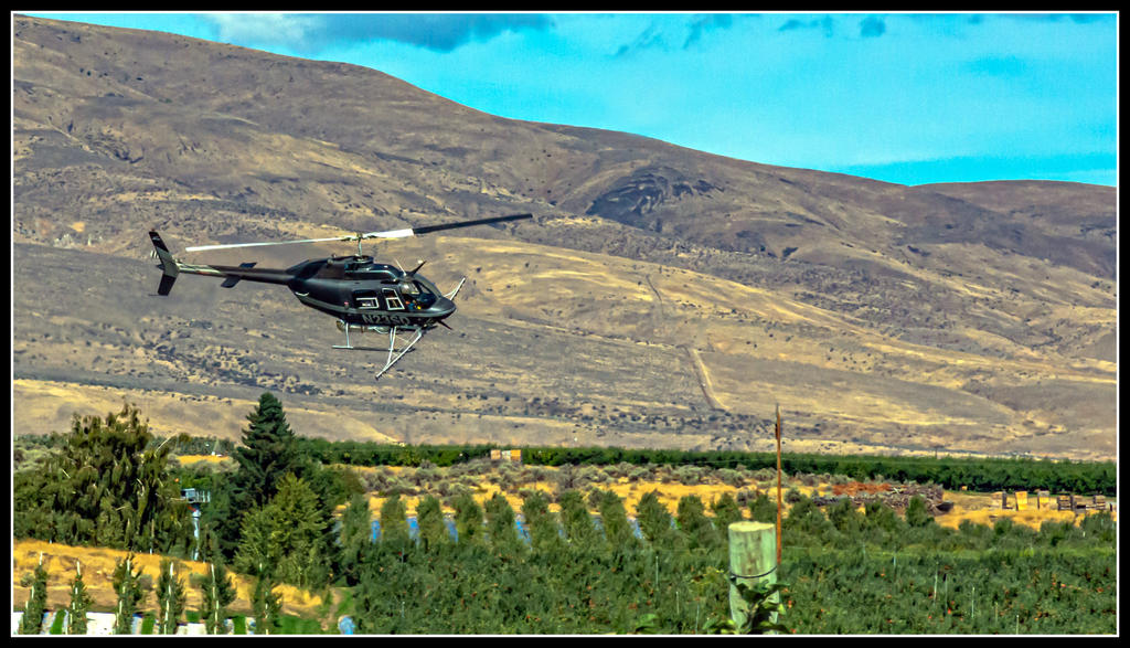 710_4171-Edit.jpg