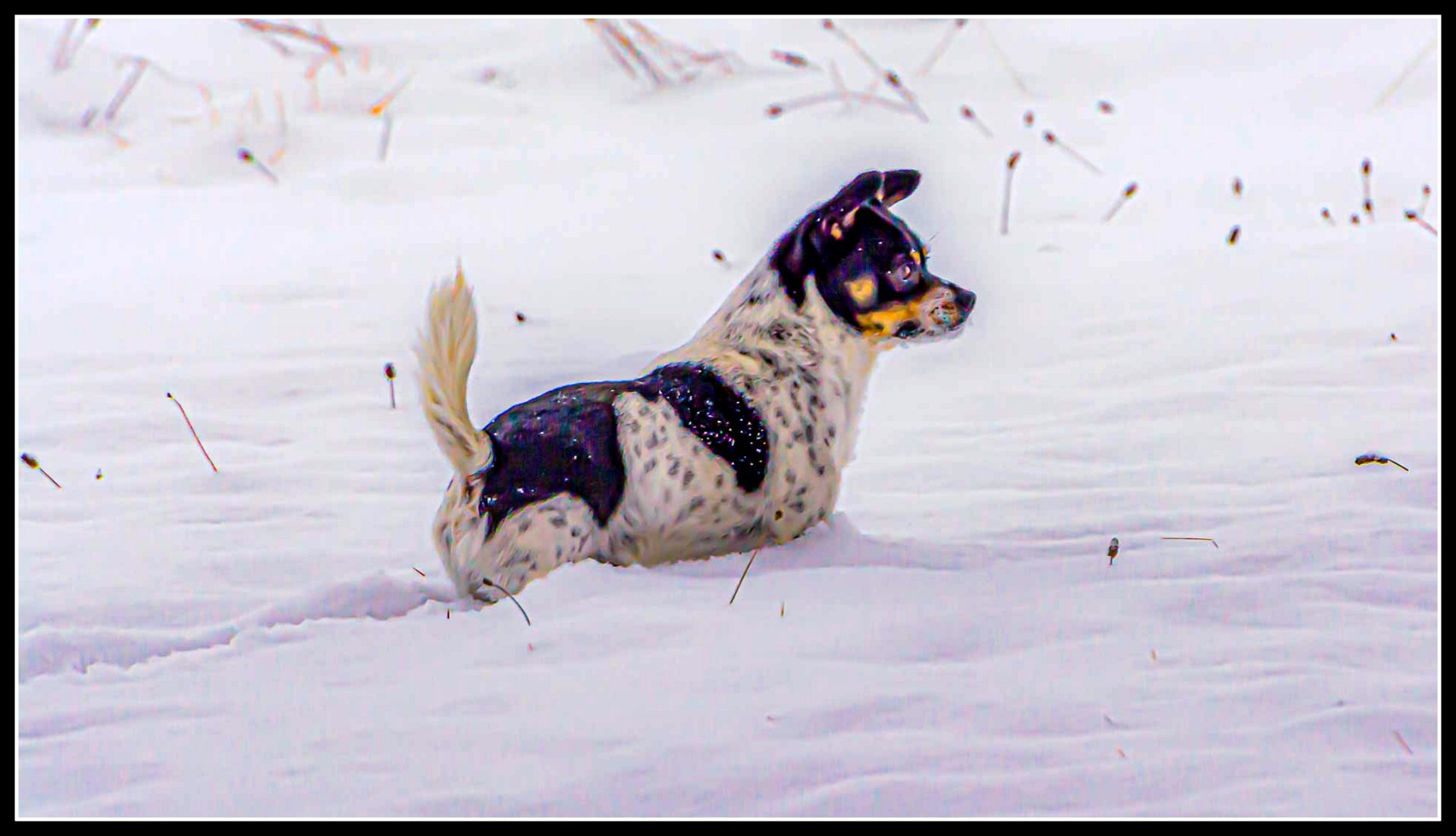 710_4206-Edit.jpg
