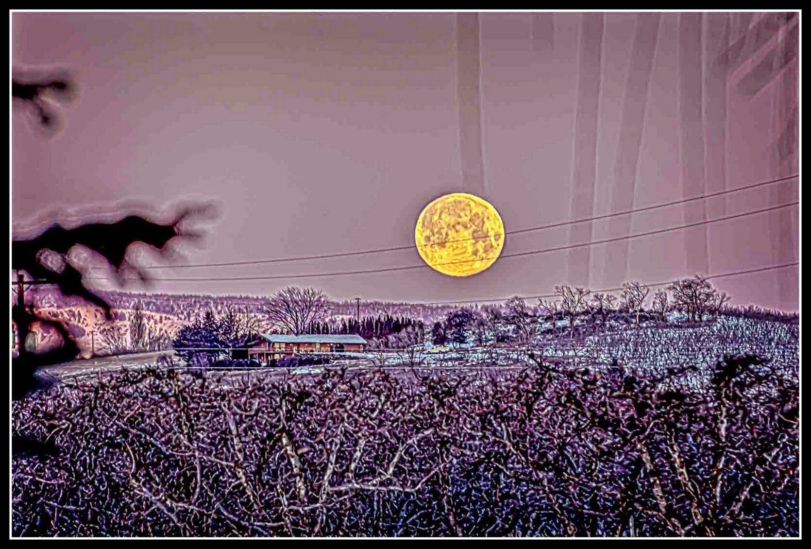 710_4217-Edit.jpg