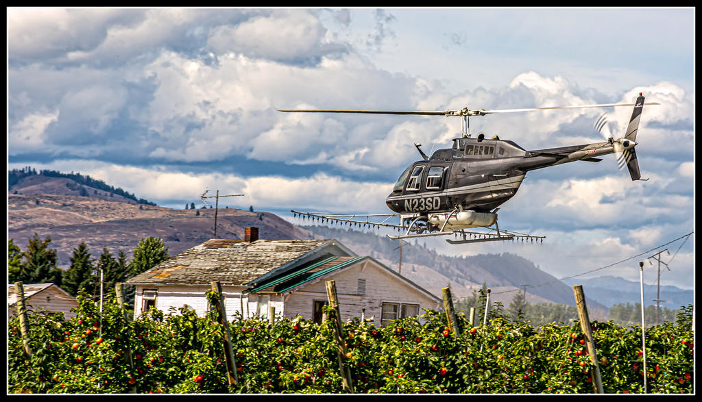 710_4272-Edit.jpg