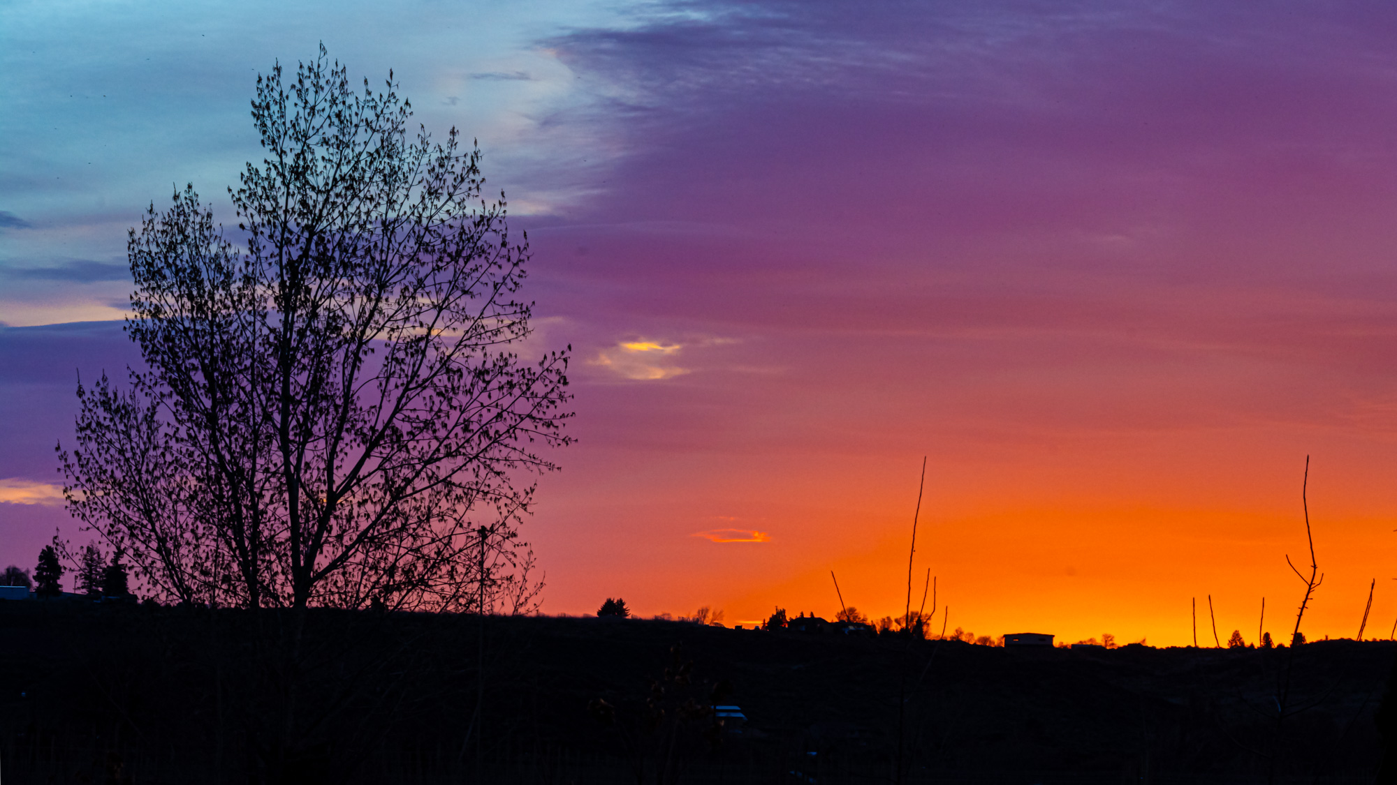 710_4669-HDR.jpg
