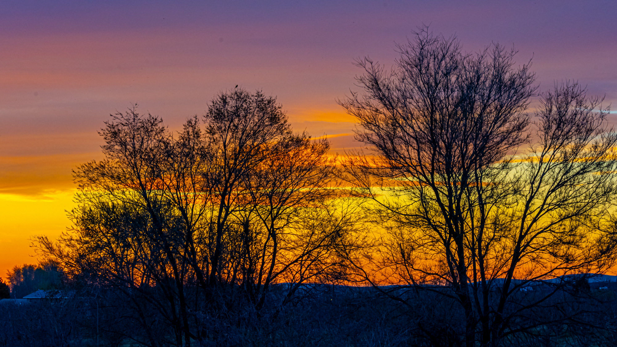 710_4684-HDR.jpg