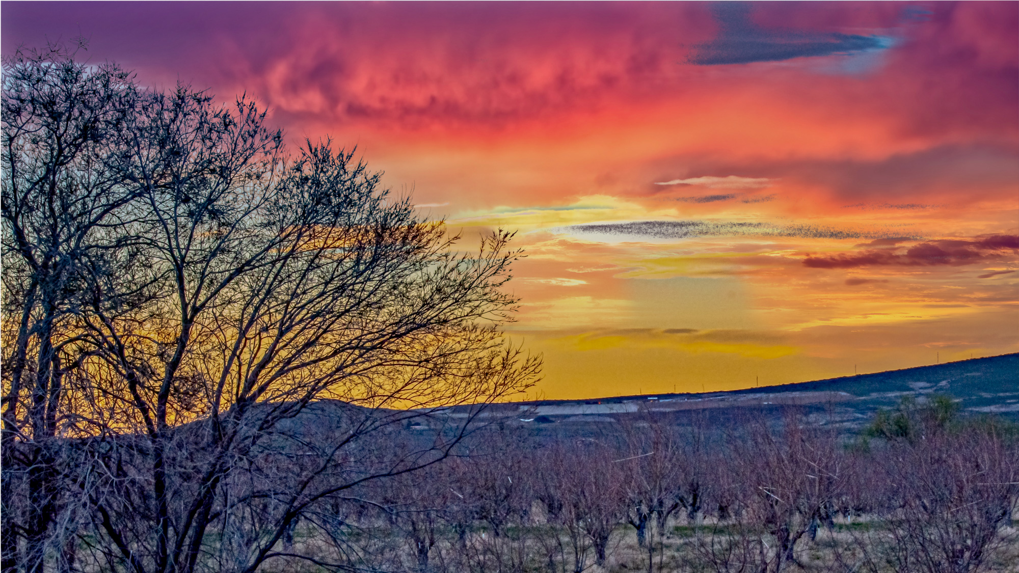710_4724-HDR-Edit.jpg