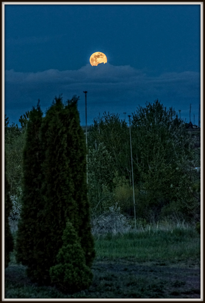 710_4928-Edit.jpg