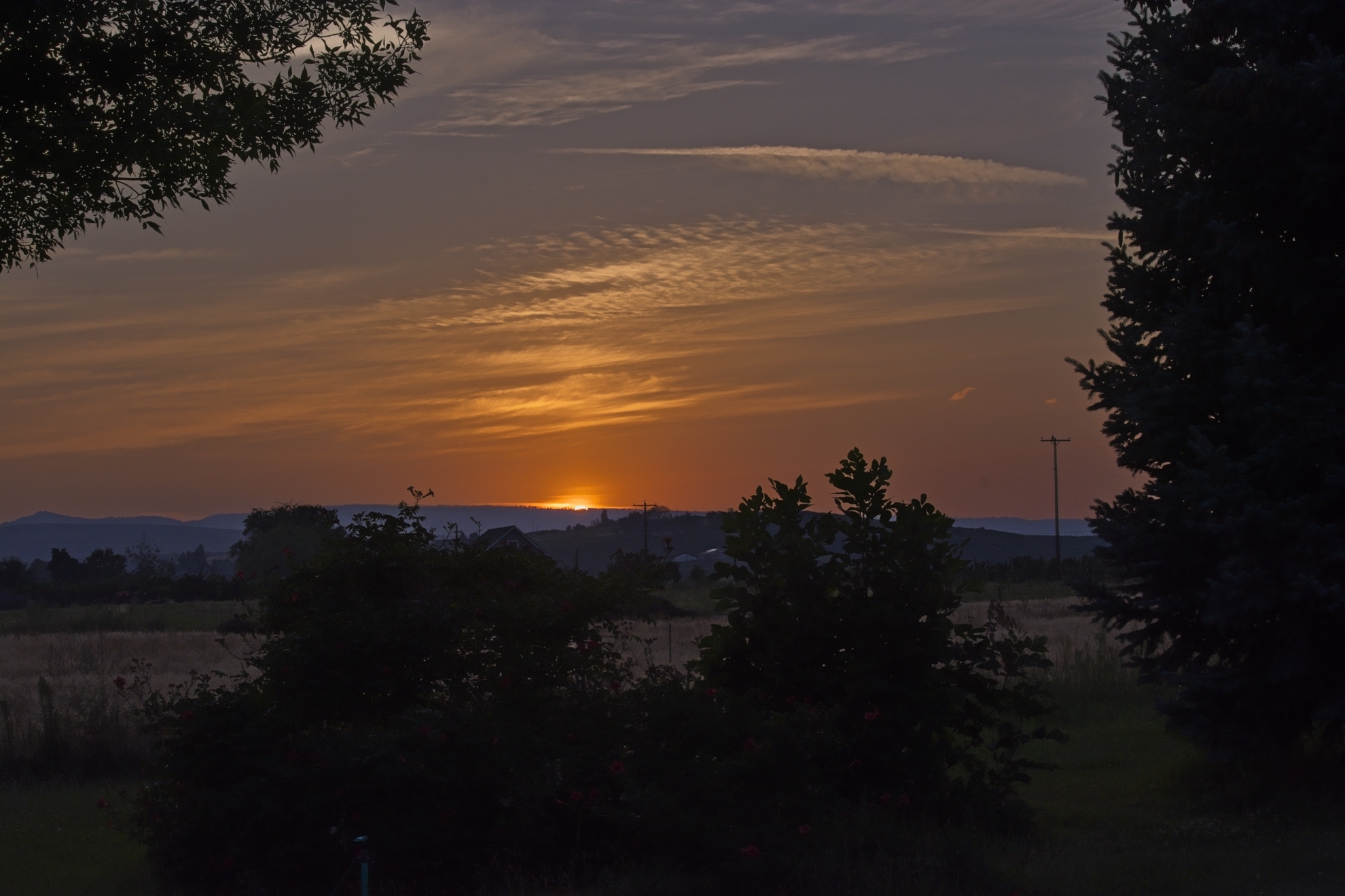710_4964 1.jpg