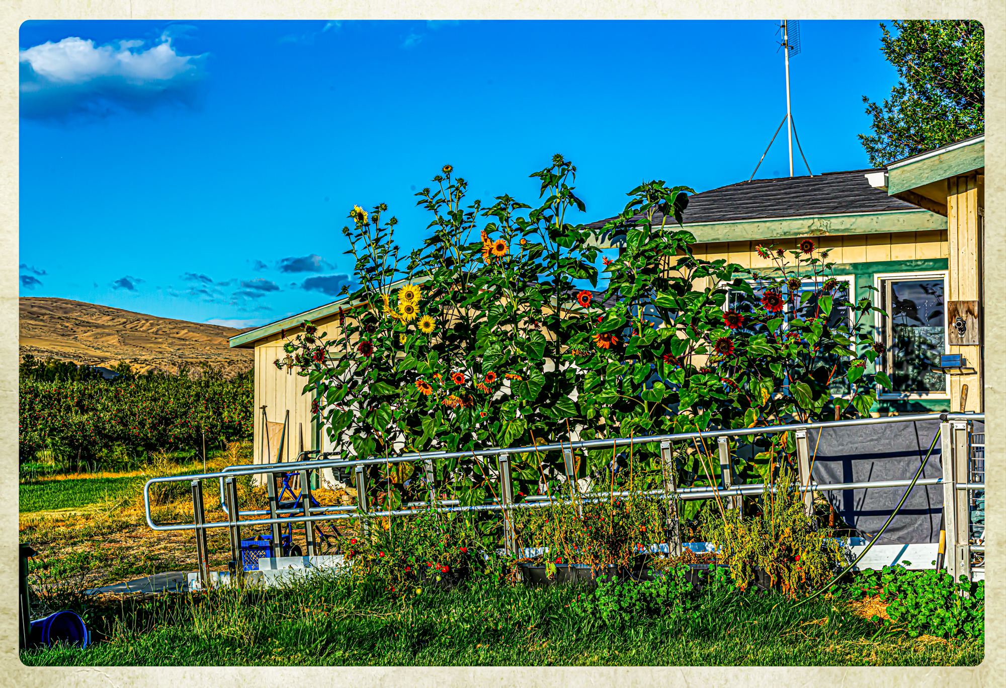 710_4994-Pano-Edit-Edit.jpg