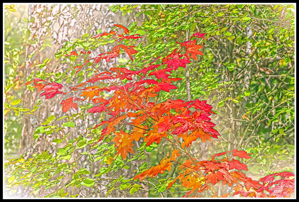 710_5168-Edit.jpg