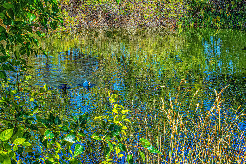 710_5417-Edit-Edit.jpg