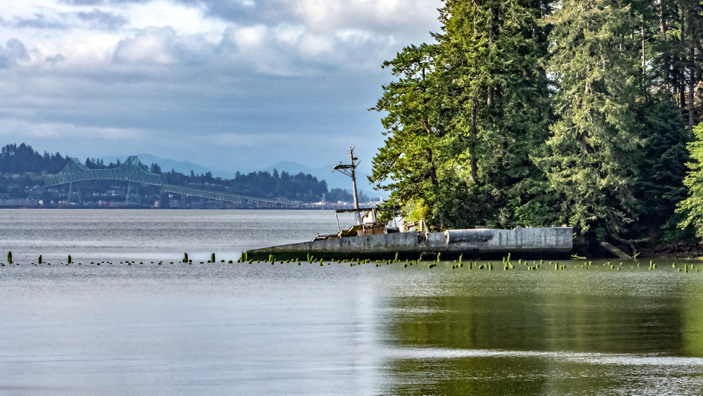 710_5425-Edit.jpg