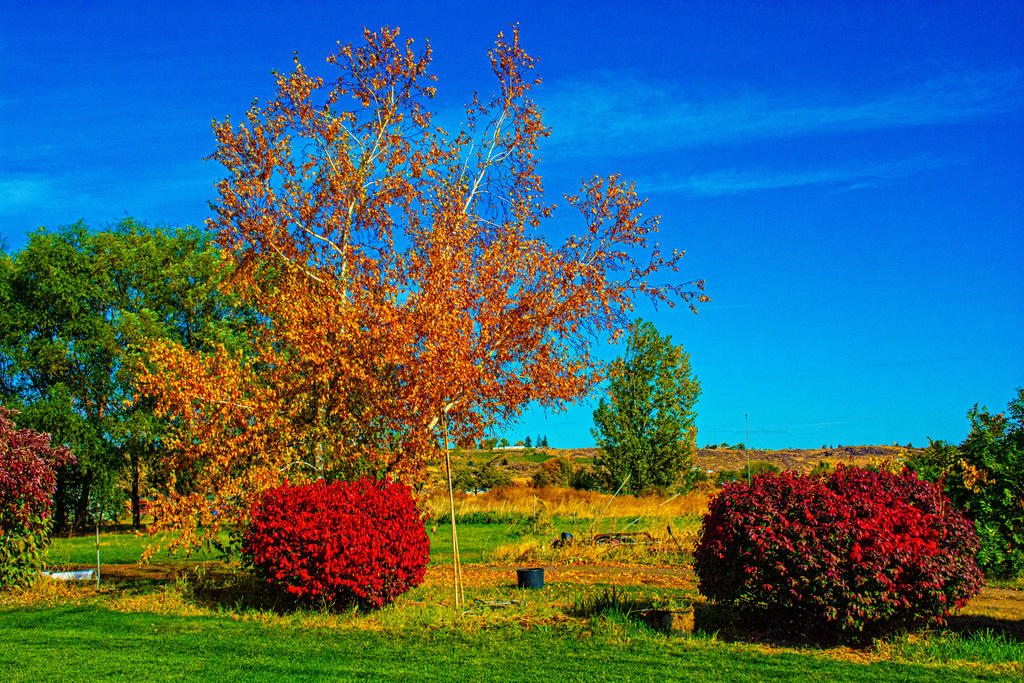 710_5931-Edit-2.jpg