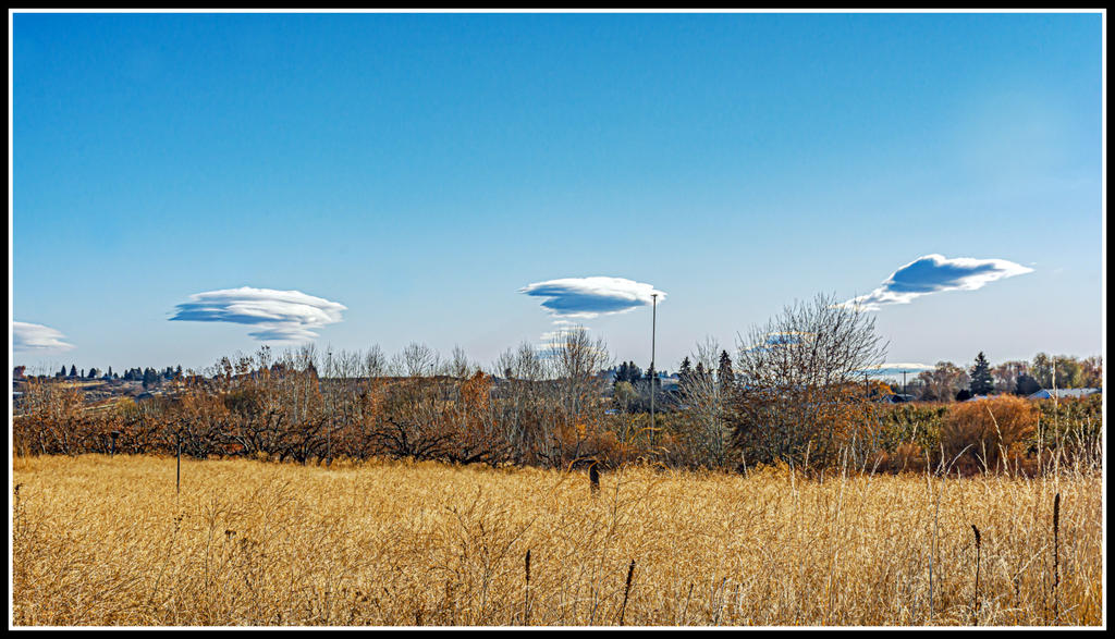 710_6625-Edit.jpg