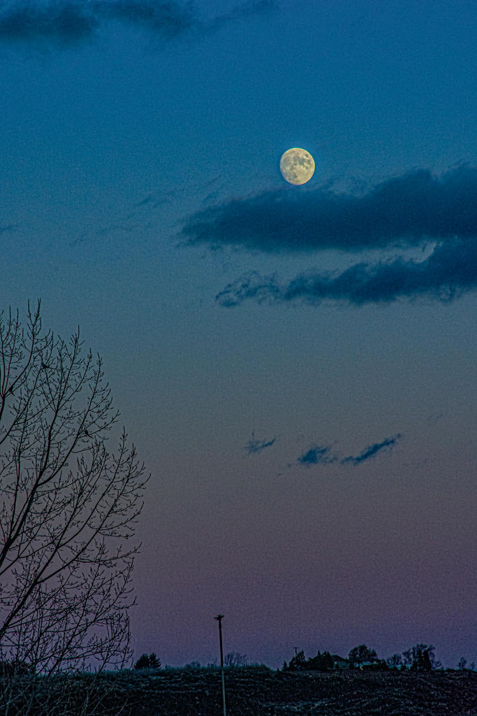 710_6637-Edit.jpg
