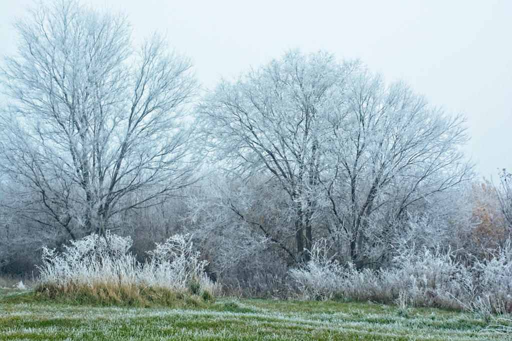710_6814-Edit-2.jpg