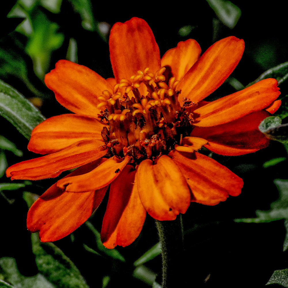 710_6886-Edit.jpg