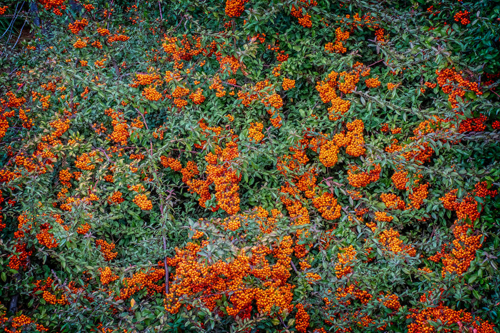 710_6916-HDR-Edit-3.jpg