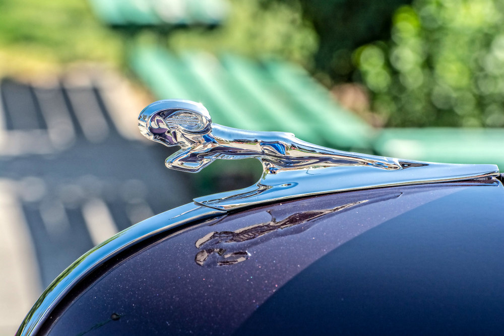 710_7216-Edit.jpg
