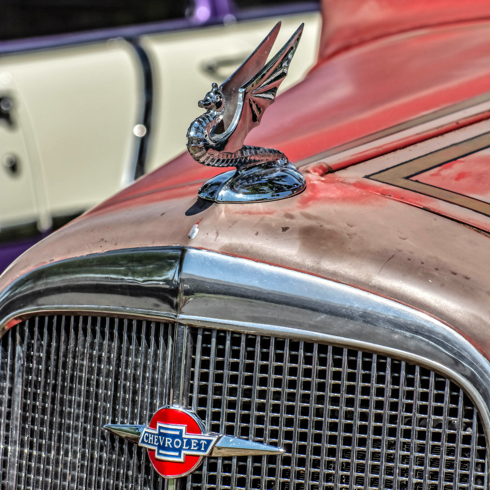 710_7251-Edit.jpg