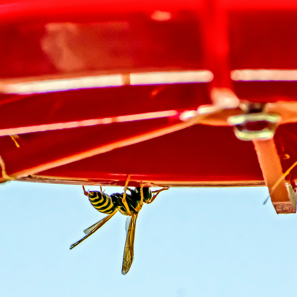 710_7275-Edit.jpg